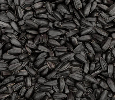 Huile de graines noires